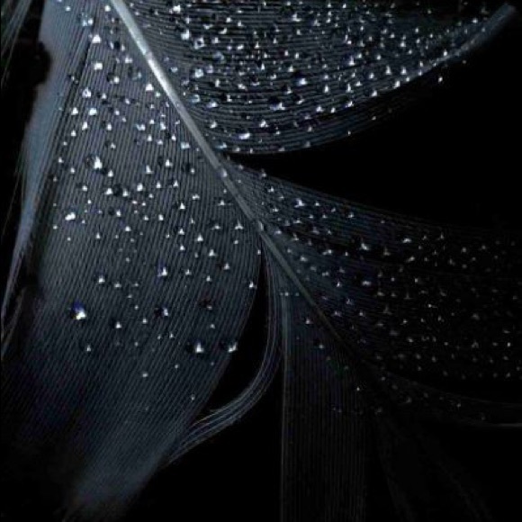 brian_tanner